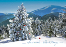 Fresh View Holiday Greeting Cards