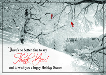 Glorious Thanks Holiday Cards