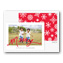 "Merry" Flat Holiday Photo Card