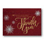 Starlight Gratitude