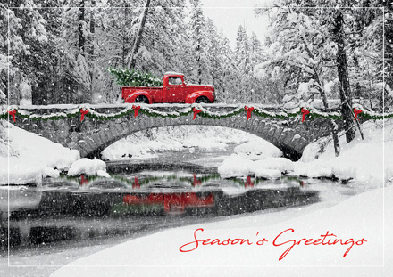 Homeward Bound Holiday Cards