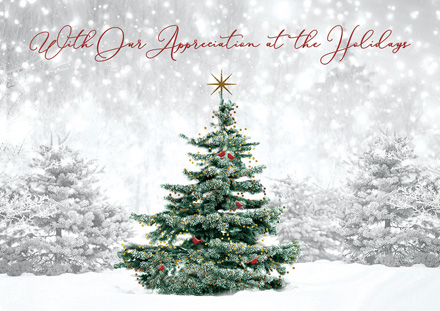 Spruced Up Holiday Cards