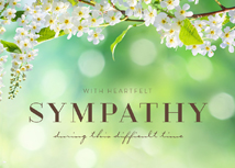 Spring Blossoms Sympathy Greeting Cards